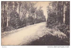 Scene Around Fort Valley, Road (Dirt), Fort Valley, Georgia, 1920-1940s