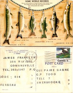 Some World Records The Fishing is Great in Canada Sportsman's Paradise (11735