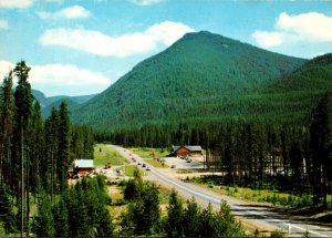 Canada British Columbia Manning Park Pinewood