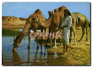 Postcard Modern Djerba Island on the road Diort