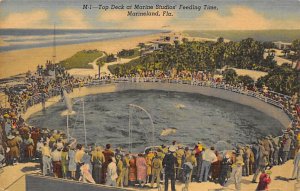 Top Deck Crowd at Marine Studios - Marineland, Florida FL  