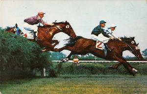 Oceanport New Jersey Monmouth Park Horse Racing Hurdles Vintage PC (J31994)