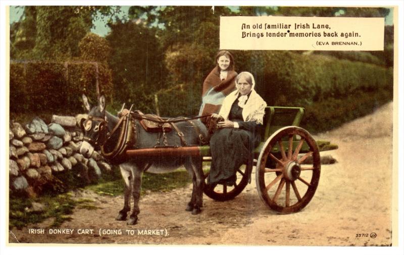 Irish Woman in  Donkey cart going to market