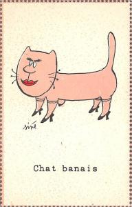 Chat Banais Cat Unused 