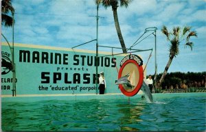 Florida Marineland Splash The Porpoise Jumping Through Hoop