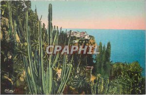 Old Postcard Monaco saw Travers Exotic Gardens