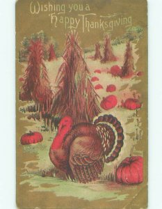 Divided-Back THANKSGIVING SCENE Great Postcard AA0683