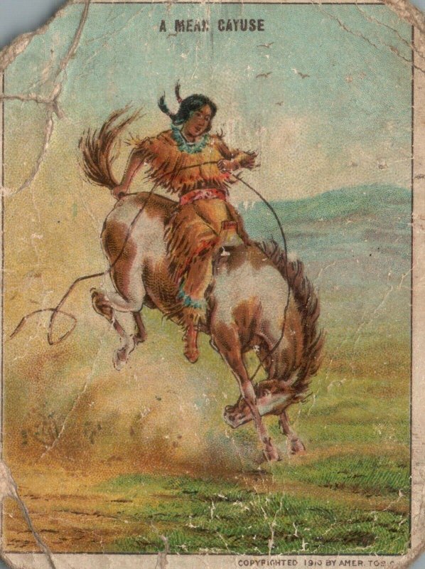 1910's A Mean Cayuse Horse Riding Hassan The Oriental Smoke Trade Card