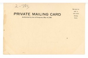 VT - Lake Champlain. Steamer Vermont  (Private Mailing Card, chipped)
