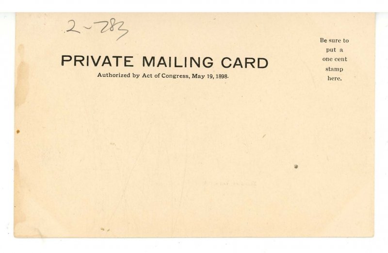 VT - Lake Champlain. Steamer Vermont  (Private Mailing Card, chipped)