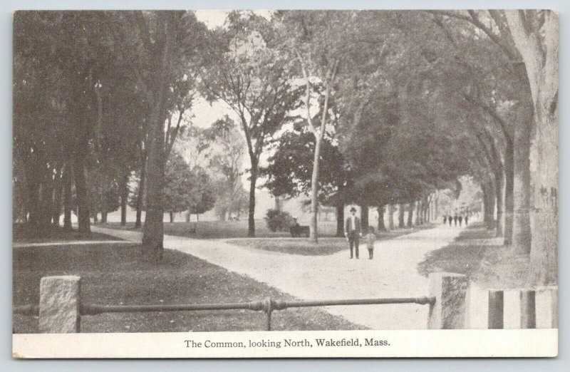 Wakefield Massachusetts~Father Son Stroll on the Common Path~c1910 B&W Postcard 