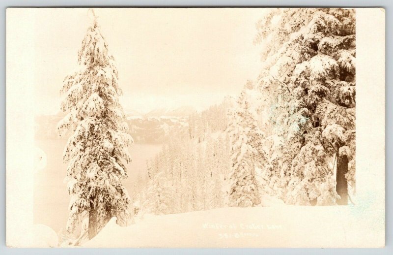 Crater Lake California~Trees Are Flocked~Real Photo Postcard~RPPC c1913 