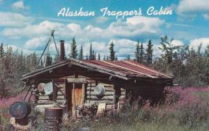 Typical Trapper's Cabin - Interior of Alaska AK