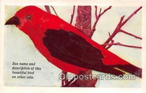 Des Moines, Iowa, USA Scarlet Tanager Unused 