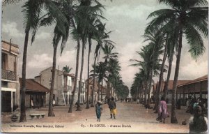 Senegal Saint Louis Avenue Dodds Vintage Postcard C092