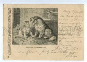 240865 Baby w/ Kitten Cat & COLLIE Dog Vintage POST 1898 year