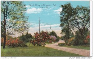 Illinois Quincy North Drive In Riverview Park 1945 Curteich