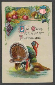 POST CARD THANKSGIVING GREETING W/TURKEY CELULOID EMBOSSED POSTED