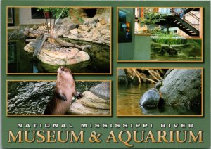 National Mississippi River Museum & Aquarium Dubuque Iowa Postcard PC514