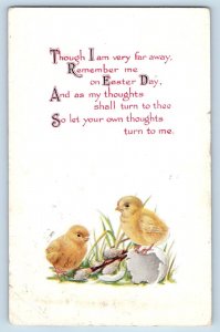 Gibson Postcard Easter Hatched Eggs Baby Chicks Bloomfield Iowa IA 1914 Antique