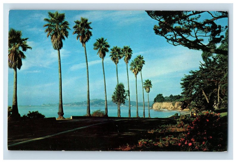 Vintage Channel Drive Santa Barbara, CA. Postcard P30E