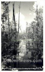 Real photo - Okefenokee Swamp Park - Waycross, Georgia GA  
