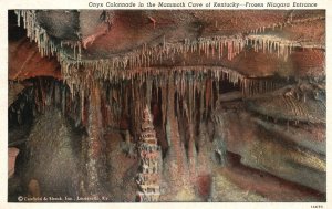 Vintage Postcard 1939 Onyx Colonnade Niagara Entrance Mammoth Cave Kentucky