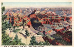 Vintage Postcard 1920s Grand Canyon From Bright Angel Point North Rim California