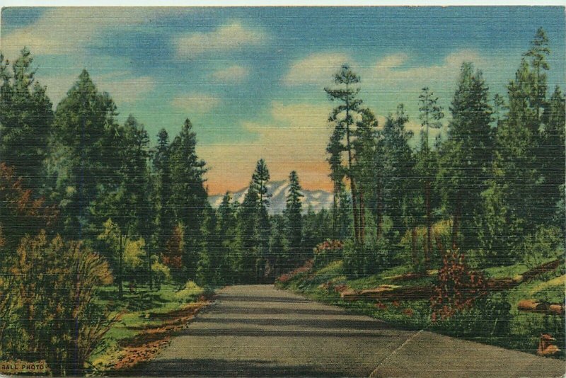 Scenic Highway US 70, Mescalero Apache Reservation, Roswell NM Vtg Postcard