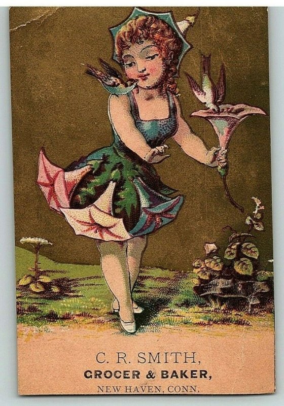 Trade Victorian Card Lady Floral Dress And Two Doves C.R. Smith Grocer N H Conn