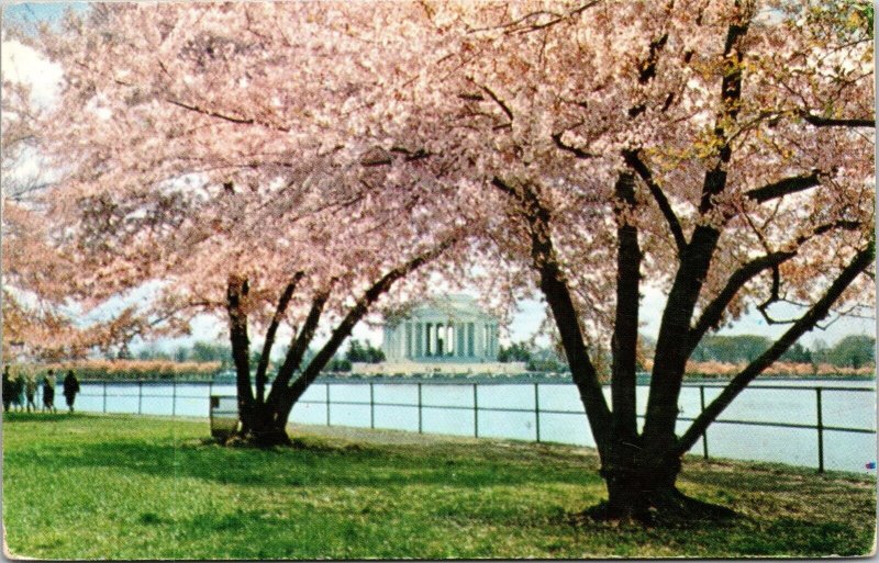 Jefferson Memorial Bloomed Cherry Trees WOB Note 4c Stamp Postcard VTG 1963 PM 