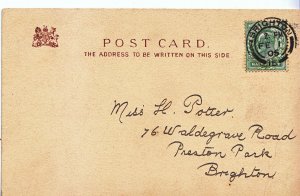 Genealogy Postcard - Family History - Potter - Preston Park - Brighton   A1131