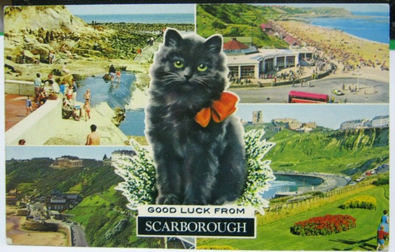 England Good Luck from Scarborough  Multi-view - posted