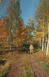 Vintage Postcard Walking Strolling With The Dog Under Shades Of Autumn Leaves