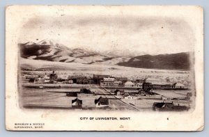 J97/ Livingston Montana Postcard c1910 Birdseye Stores Homes 372