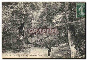 Old Postcard Tree La Sainte Baume in the forest The couch