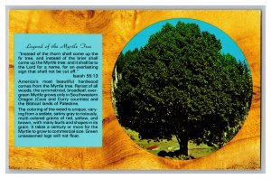 Legend Of The Myrtle Tree Postcard