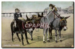 Old Postcard Donkey Mule Seaside donkeys