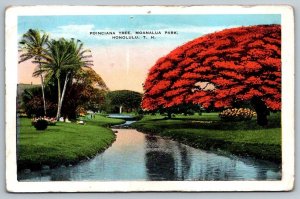 Hawaiian Postcard - Poinciana Tree, Moanalua Park, Honolulu Hawaii