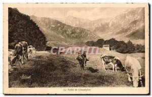 Postcard Old L & # 39Auvergne Vallee Chadefour Cows