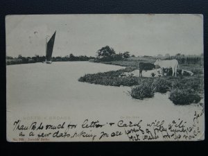 Norfolk THE NORFOLK BROADS On The Bure c1903 UB Postcard by Jarrold's Series 768