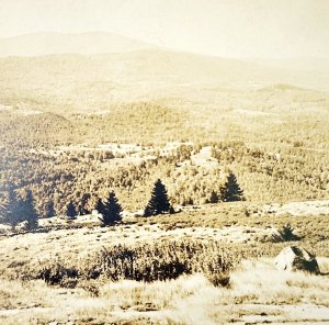 RPPC Stratton Mountain Vermont Postcard c1910s Cold Pond New England DWS5C