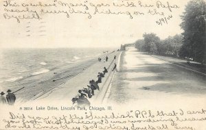 United States Chicago Illinois Lincoln Park Lake Drive 1906