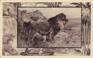 M J Mintz Animal Series The Lion