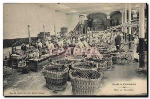 Old Postcard Folklore Wine Harvest Champagne Moet & Chandon Bottling