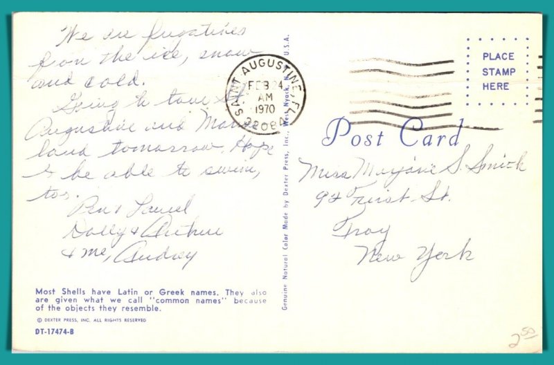 Sea Shell Names - [MX-885]