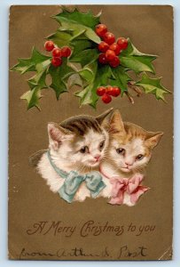 Springdale Minnesota MN Postcard Christmas Cat Kittens Holly Berries Nash 1906