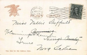 City Hall, New York City, Early Postcard, Used in 1905, Illustrated Post Card Co