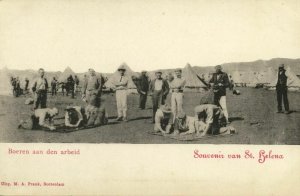 BOER WAR, St. Helena POW Camp, Boers at Work (1900s) Postcard