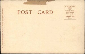 Black and White Kittens Stare at Sky Looking at Mars c1910 Postcard